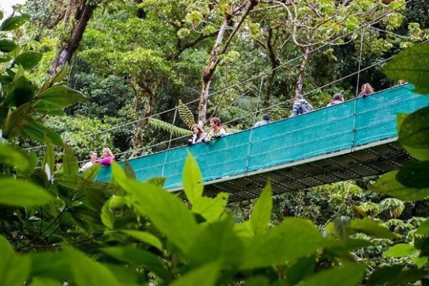 a close up of a hanging bridge at Sky Walk Monteverde