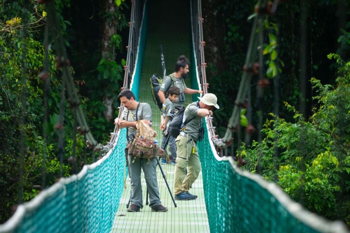 A group of tourists on the Monteverde Hanging Bridges at Sky Walk Monteverde