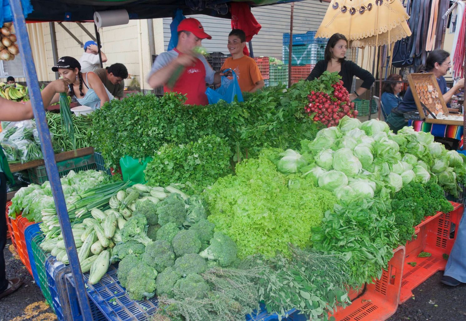 Free Things to Do in Monteverde - Monteverde Local Market