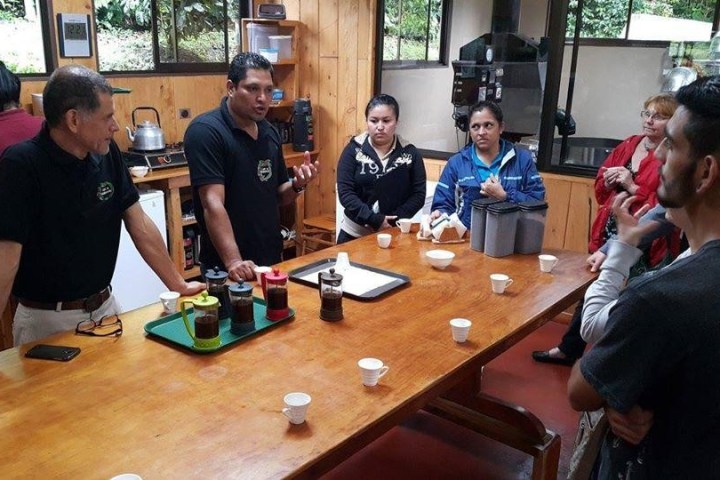 Cafe Monteverde Coffee Tour