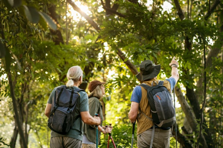 Monteverde Cloud Forest Tour