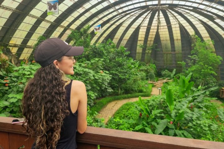 a person sitting on a bench in the Selvatura butterfly garden