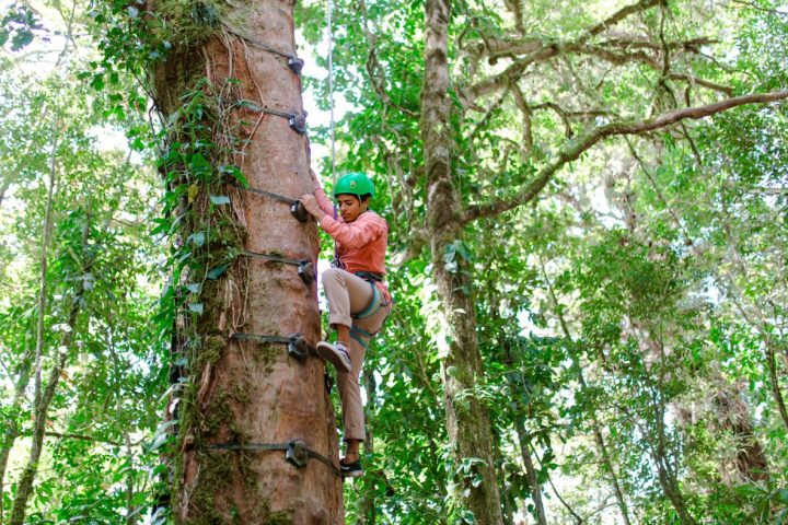 a person hanging from a tree