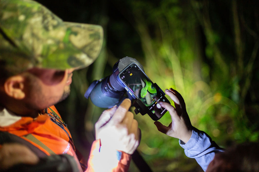 A Tour Guide and a tourist photographing a snake in a Monteverde Night Walk A Tour Guide and a tourist photographing a snake in a Monteverde Night Walk.