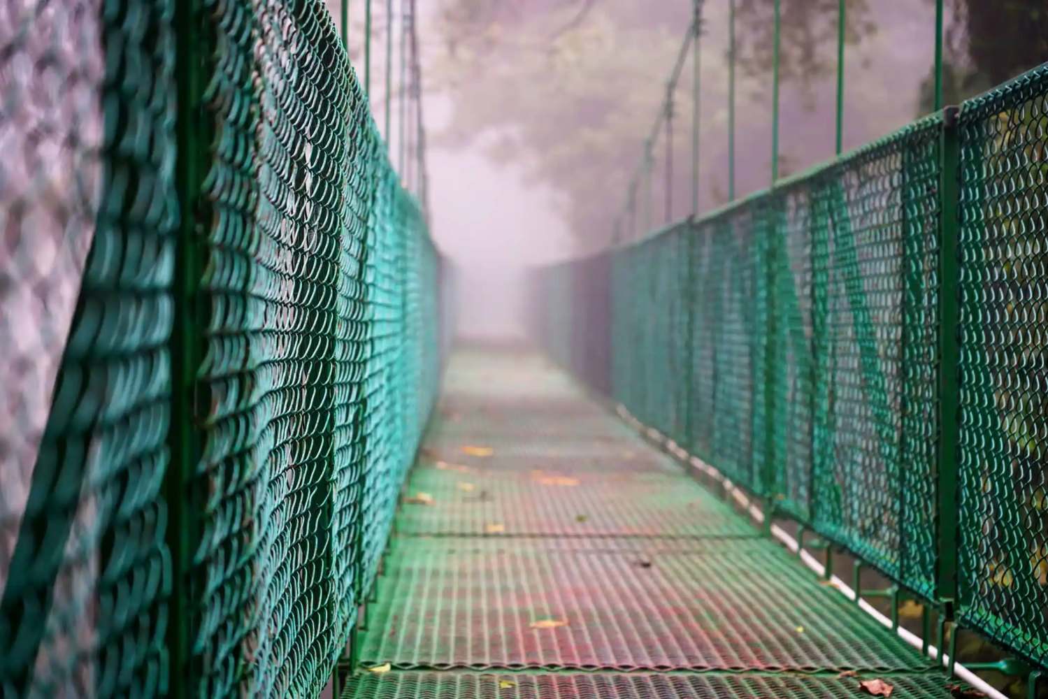 A hanging bridge surrounded by fog 