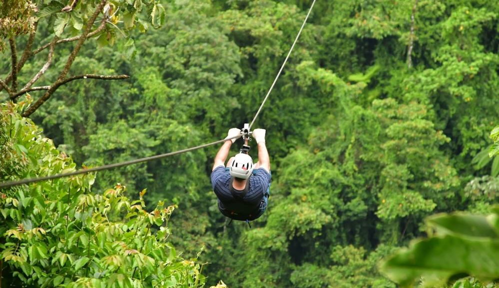 a person in a forest